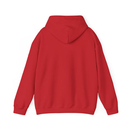Anne Sweatshirt - Unisex Cozy Hoodie, Inspirational Gift, Everyday Style, Casual Wear, Art Design