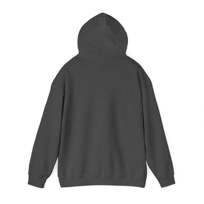 Austen Sweatshirt - Unisex Cozy Hoodie, Inspirational Gift, Everyday Style, Casual Wear, Art Design
